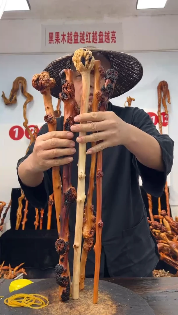 黑果木其他黑果木649