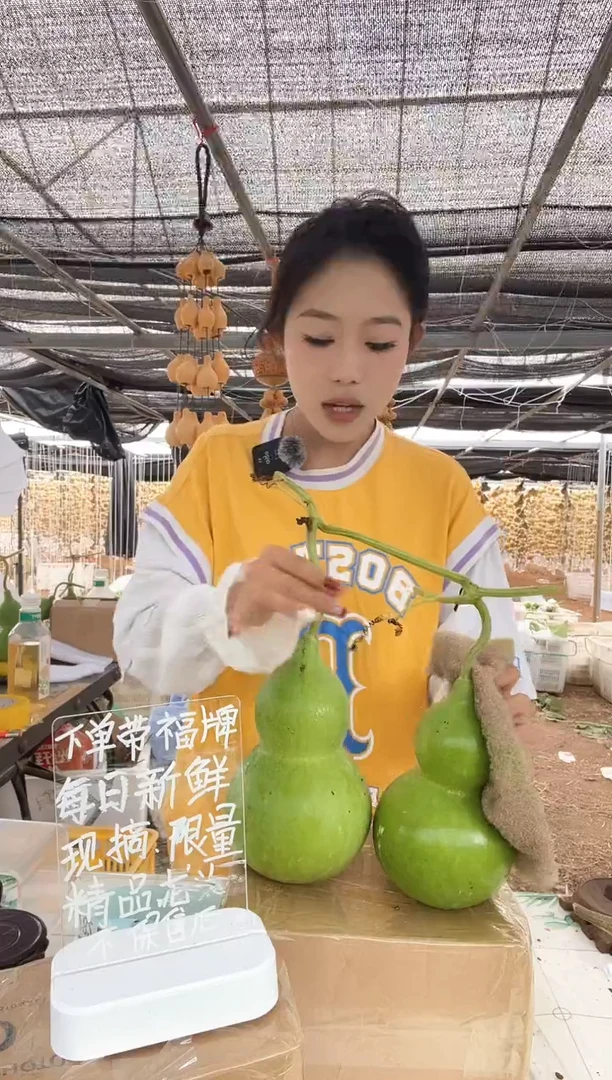 282天然葫芦摆件 一物一拍龙头不保售后