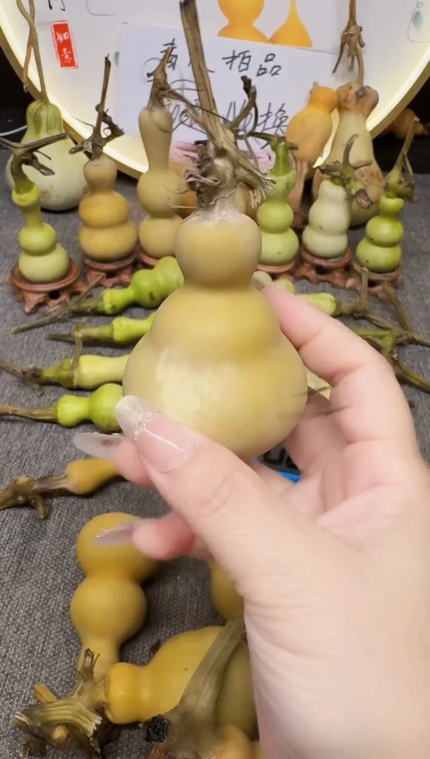 太****蛋高端葫芦高端客户