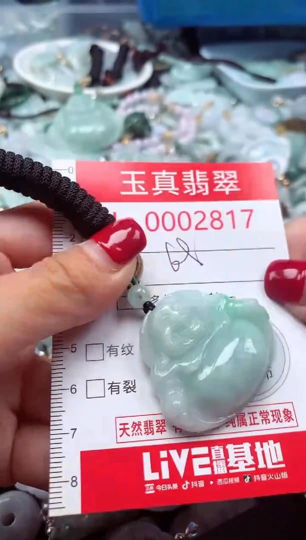 颈饰未镶嵌翡翠2817