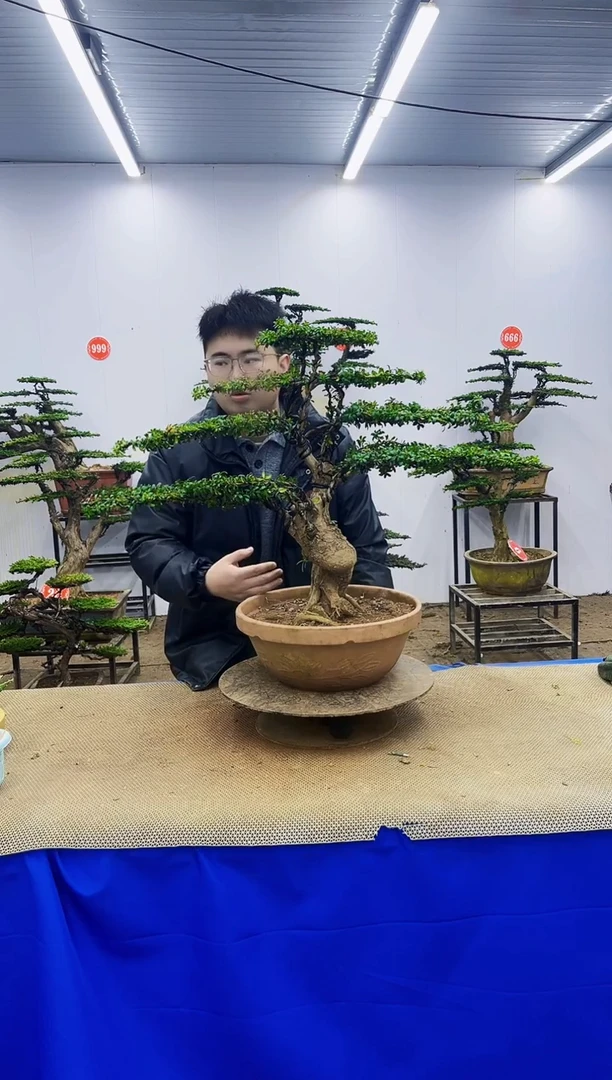 无花朵一物一拍，所见即所得