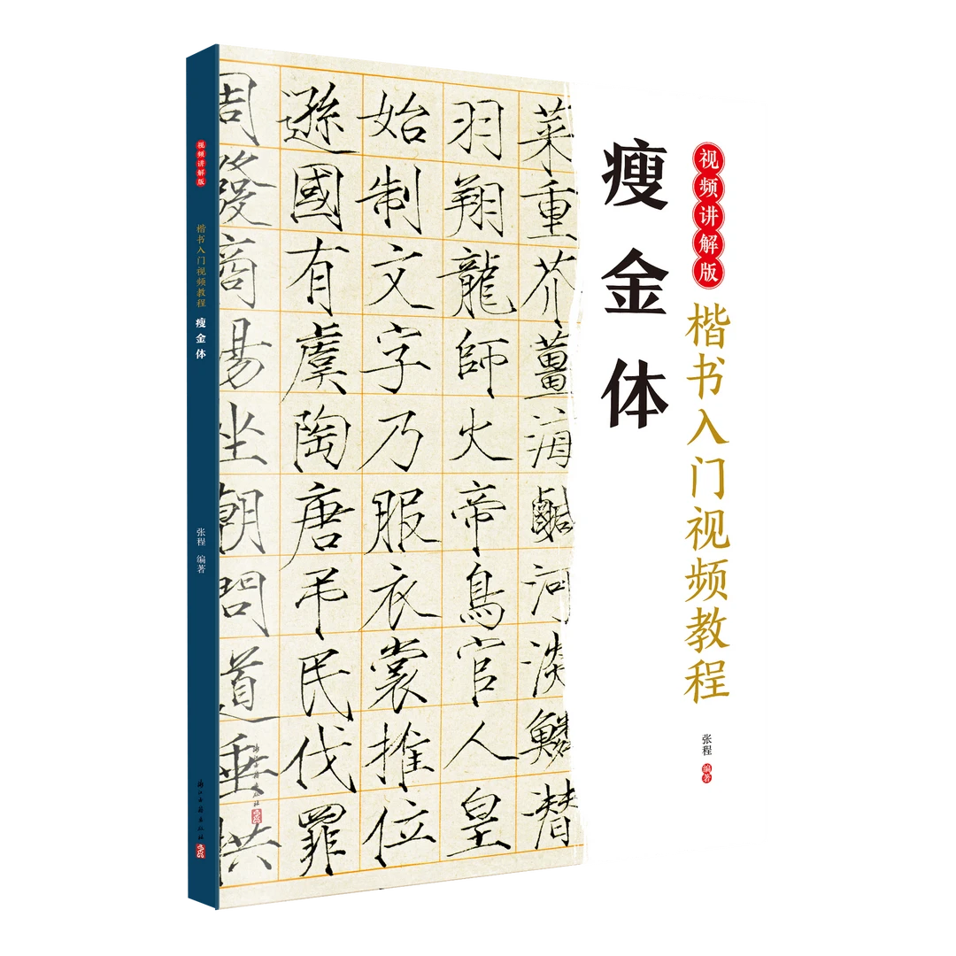 楷书入门视频教程·瘦金体 0基础入门毛笔视频教程书新手初学之选