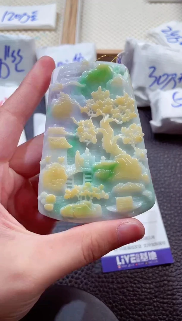 颈饰未镶嵌翡翠00007629
