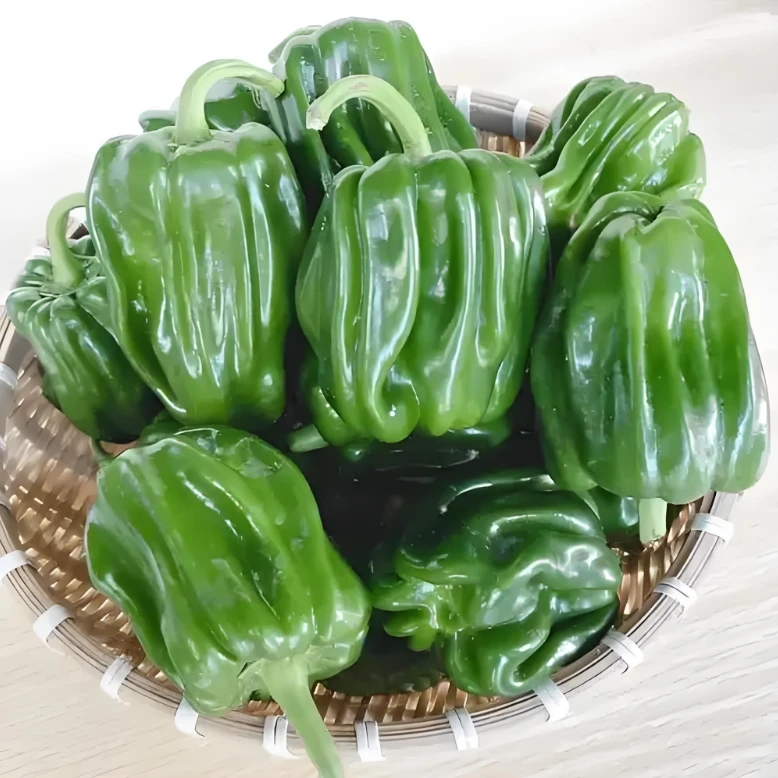 淘沐基地自产自销精品麻椒250g±25g（辣椒）辣椒新鲜