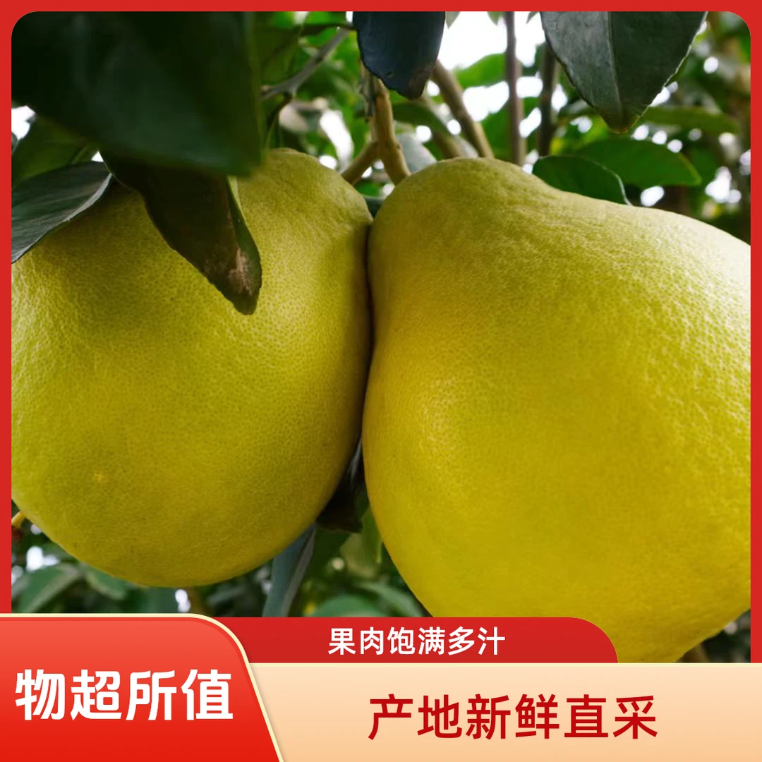 长寿超大（邻封）新鲜当季产地沙田柚纯甜无酸细腻多汁水果正宗