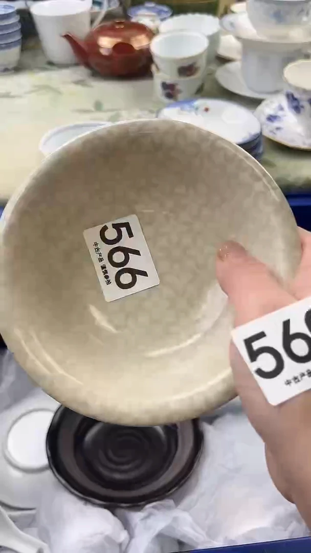 瓷片菊566.......