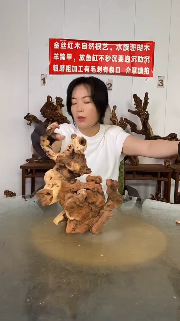 香榧木健****5金丝红木   羊蹄甲