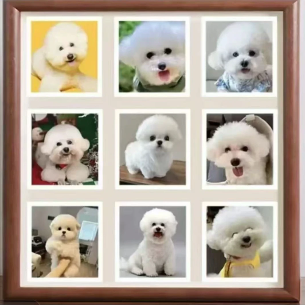 阿天宠物定制相册