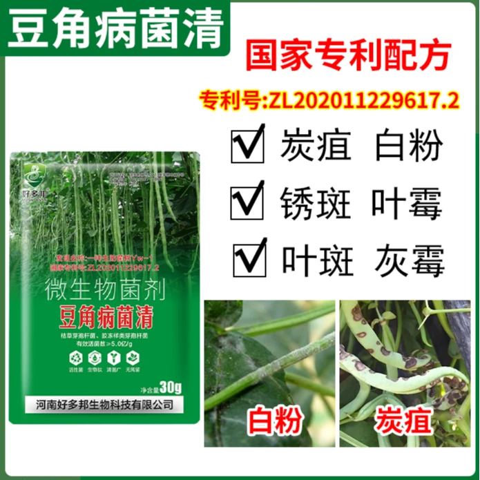 国家专利生防菌技术豆角专用病菌清豆角锈斑炭疽青枯微生物菌剂