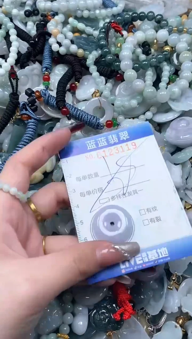 【闪购商品】翡翠颈饰未镶嵌闪购0123119多样性发其一