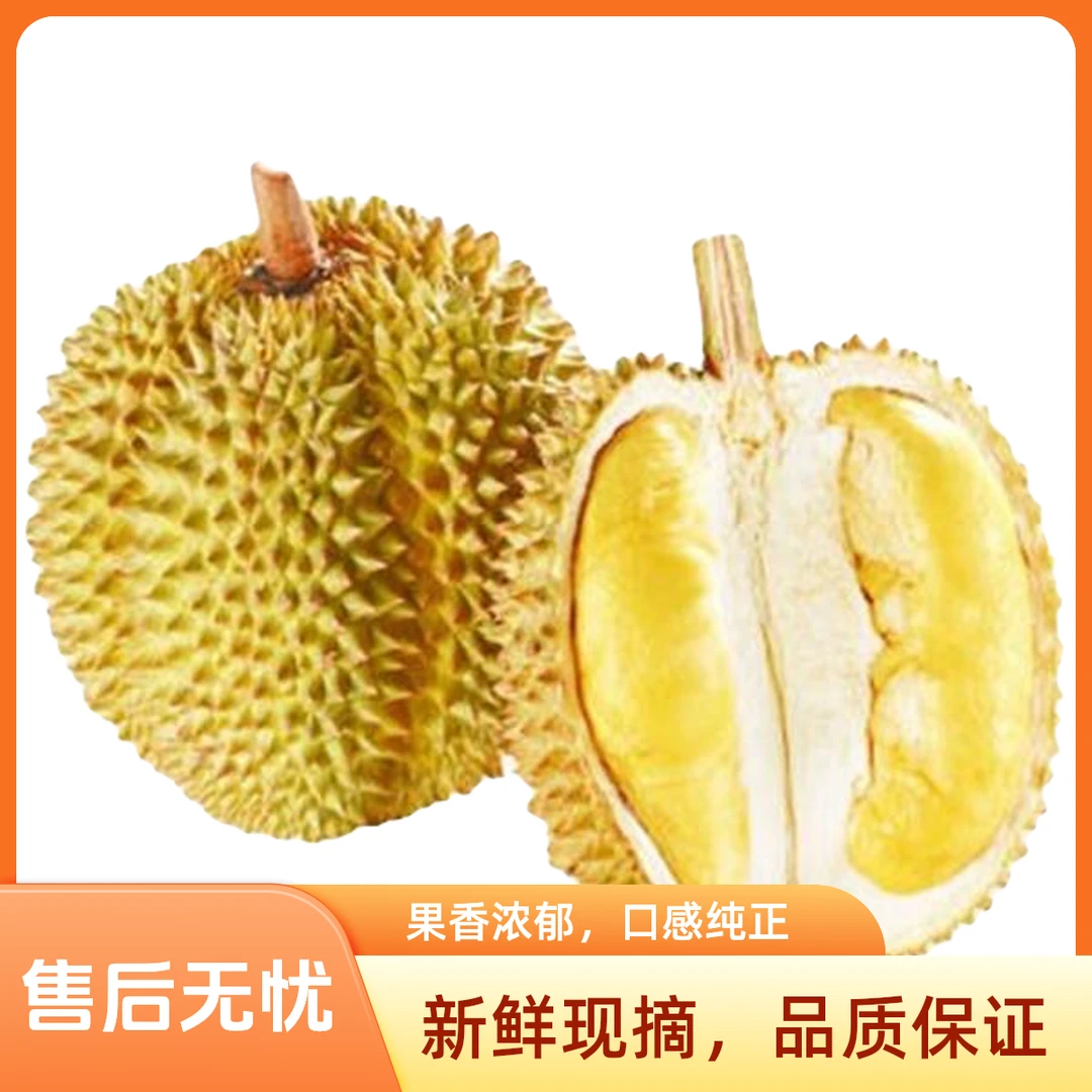 纯肉1.5斤【广州同城及拍即送】泰国空运树熟新鲜金枕双A级核小鲜果金枕泰国