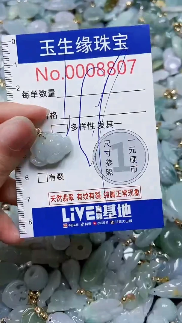 【闪购商品】翡翠颈饰未镶嵌闪购00008807