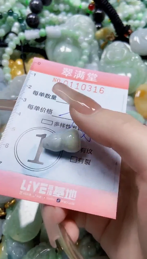 【闪购商品】翡翠颈饰未镶嵌闪购0110316