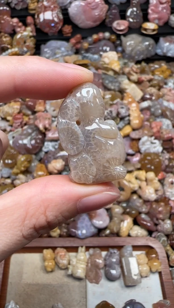 颈饰未镶嵌硅化珊瑚（珊瑚玉）351