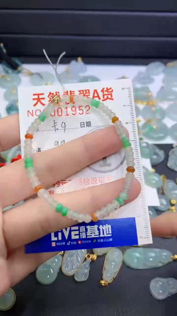 【闪购商品】翡翠颈饰未镶嵌翡翠