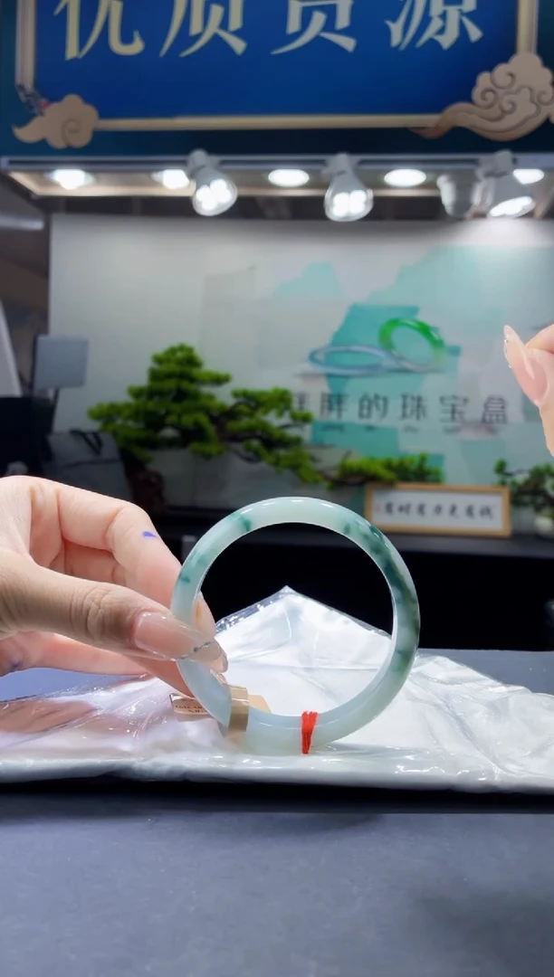 未镶嵌手镯翡翠6