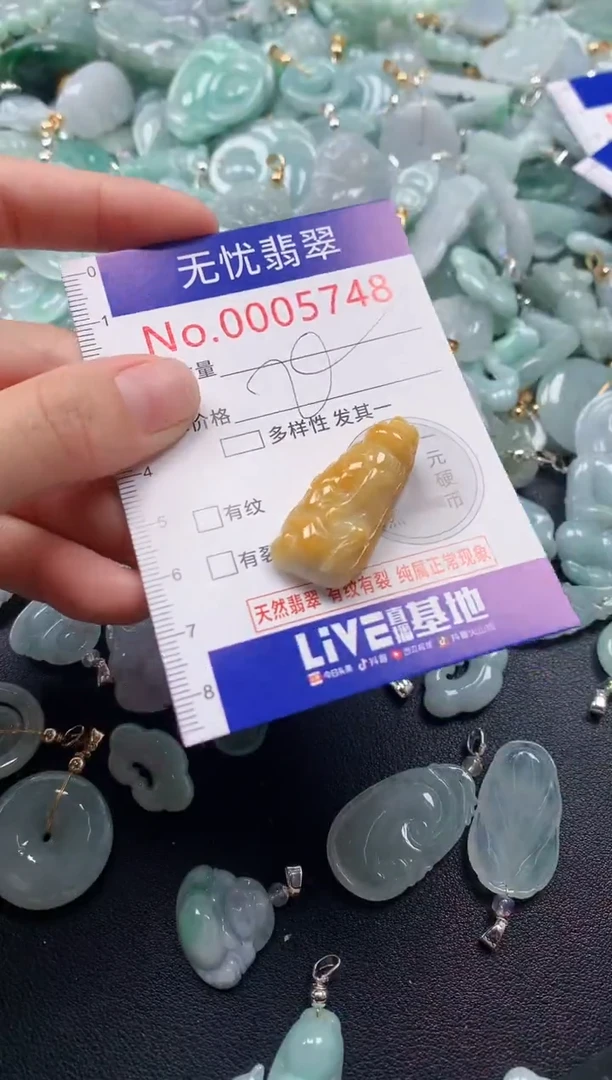 颈饰未镶嵌翡翠5748