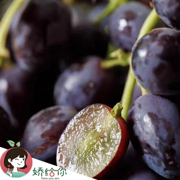 【顺丰包邮】智利空运初恋梦境蜜甜无籽黑提优质严选2-3斤装