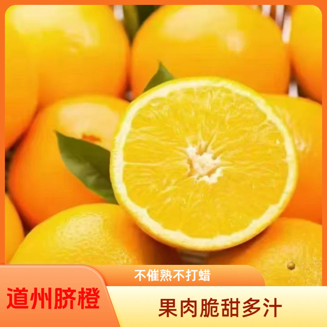 【大叔专属】道州脐橙正宗纽荷尔高山脐橙应季水果脆甜多汁橙子