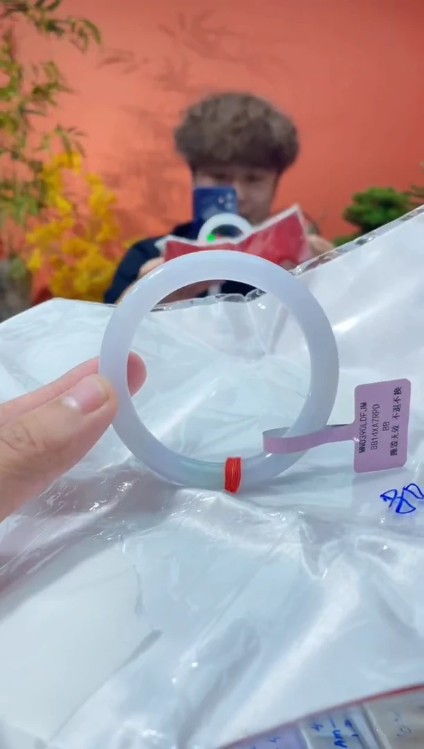 未镶嵌手镯翡翠6