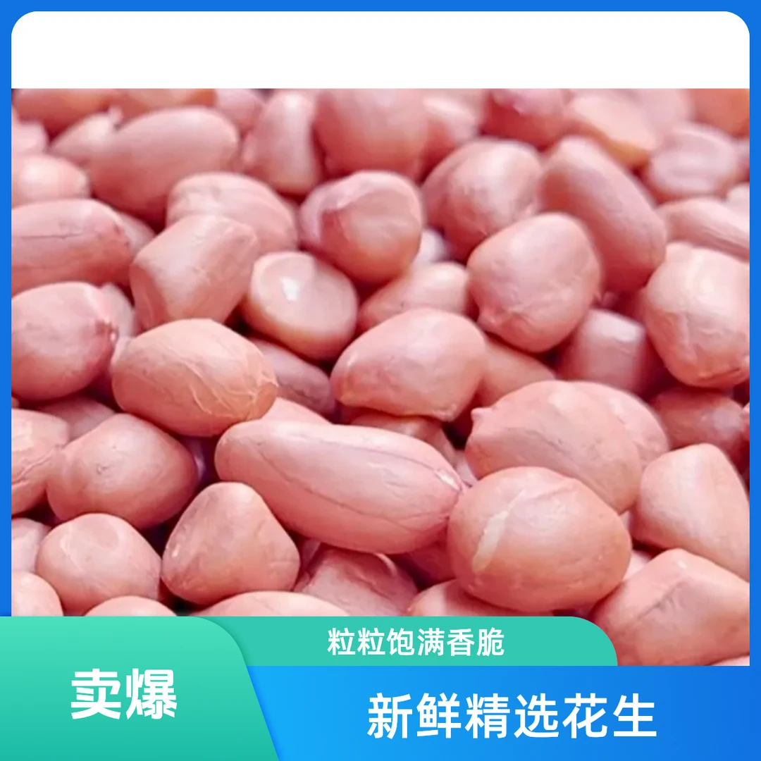 新货精选大粒白沙花生米五香口味下酒菜