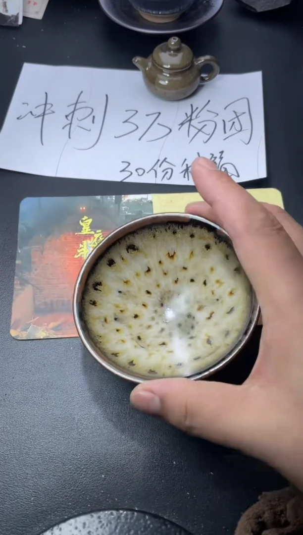 茶盏147（叶紫建盏