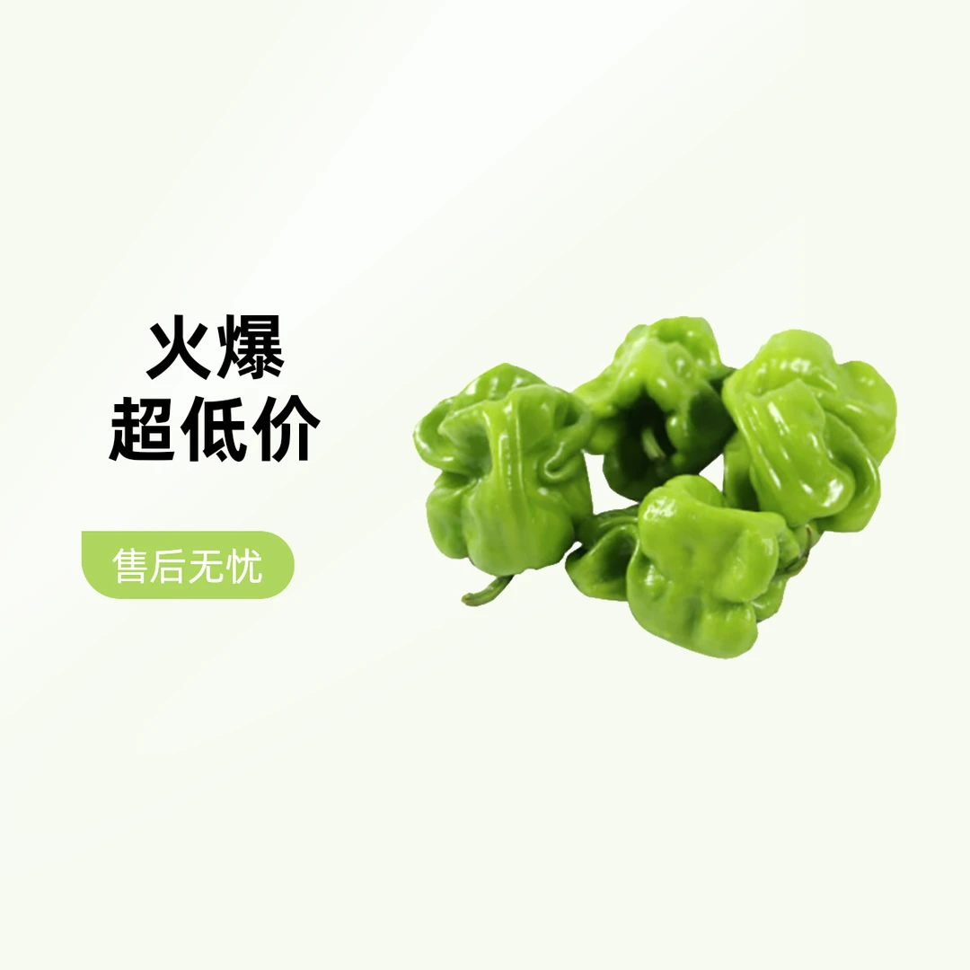 皱皮椒 约250g 一份 新鲜