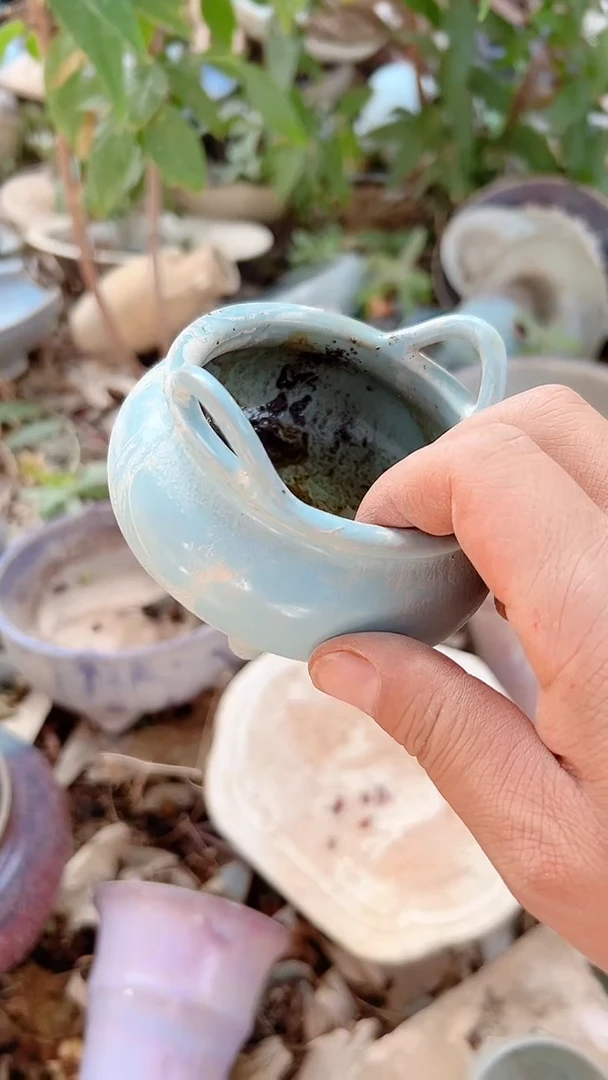 瓷器瓷器瓷器瓷器瓷器瓷器瓷器瓷器
