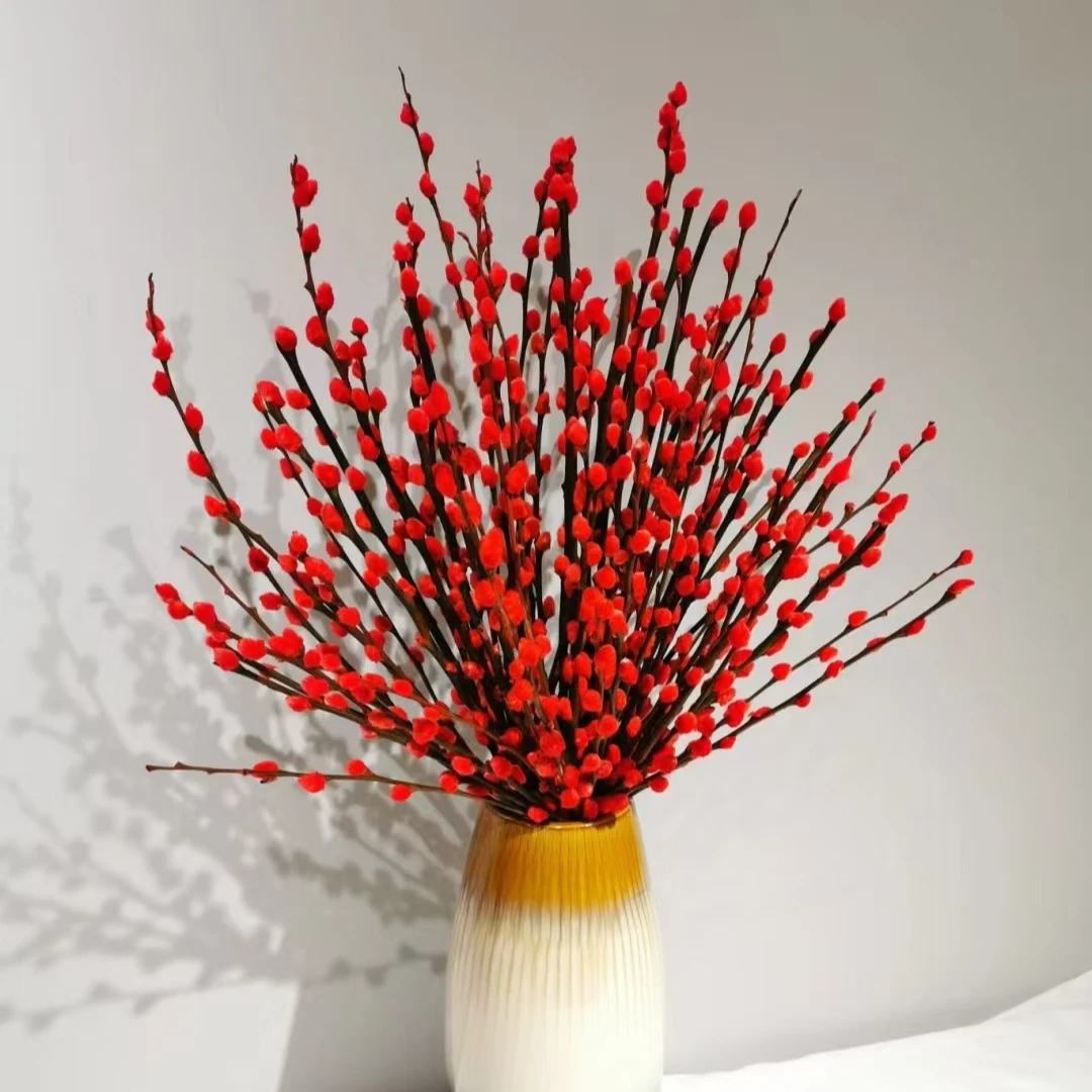 银柳-家养鲜花云南基地直发