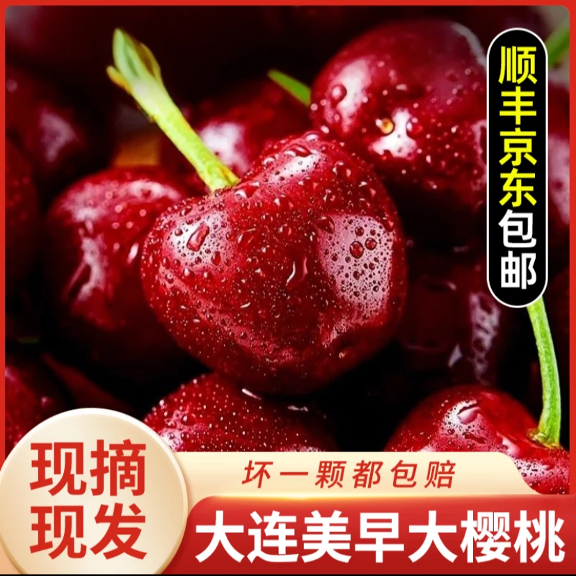 （次日达)现摘大连美早大樱桃净重1.4斤 1J~8J新鲜京东顺丰包邮美早辽宁省