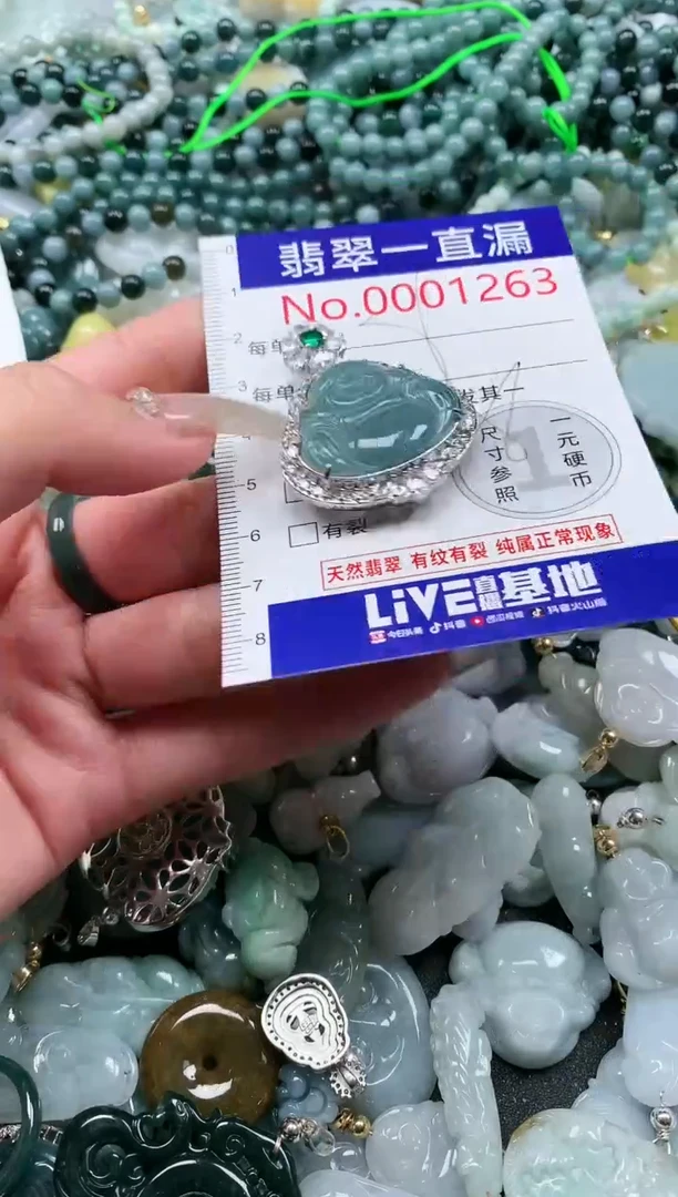 【闪购商品】翡翠吊坠(不含链)未镶嵌1263