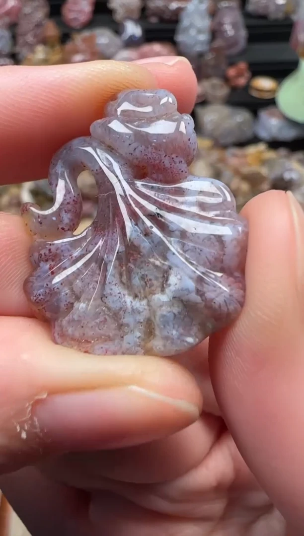 颈饰未镶嵌硅化珊瑚（珊瑚玉）348