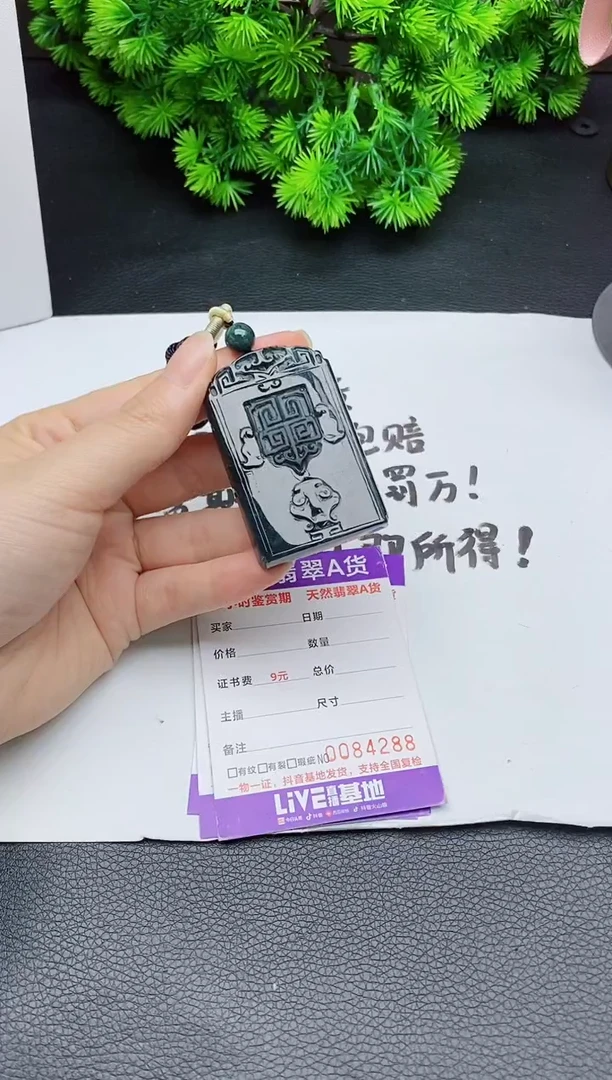 颈饰未镶嵌翡翠