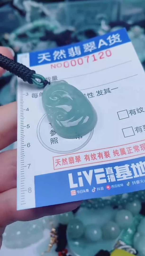 颈饰未镶嵌翡翠00007120
