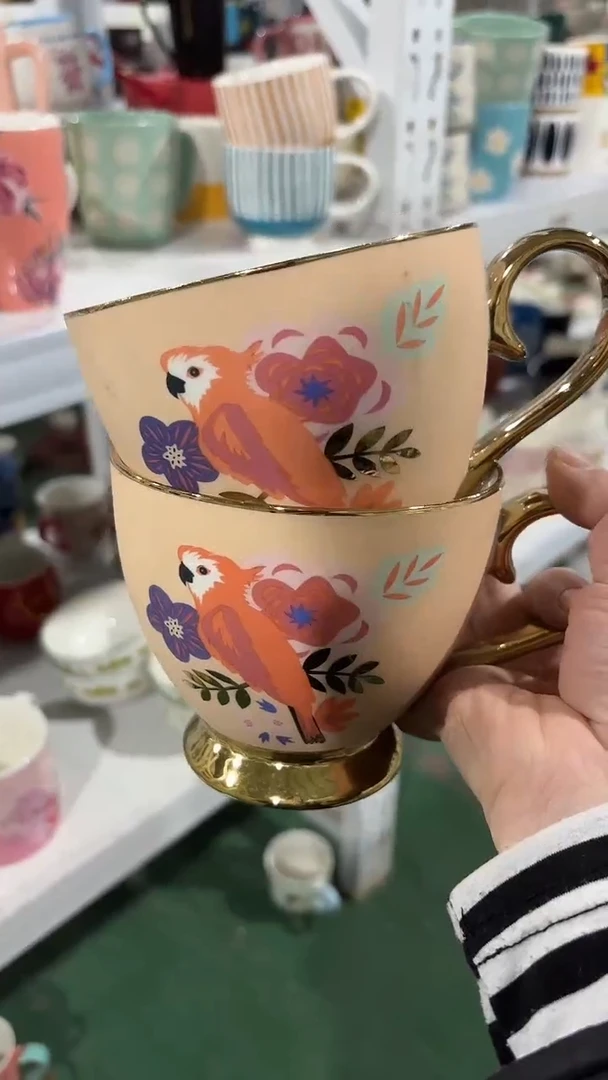 【闪购商品】家湖高温陶瓷杯 微瑕