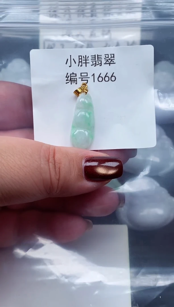 颈饰未镶嵌翡翠缅甸天然A货翡翠1666