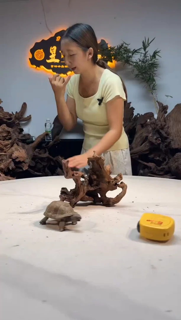 香榧木木雕款福*?一物一拍20