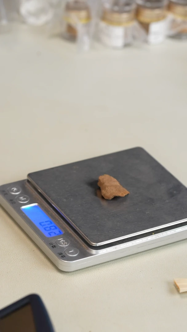 沉香沉香碎屑香港鸡母虫0,7克