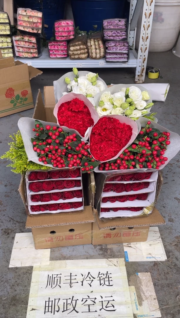 高原红20枝+红康20枝+红豆+白桔梗400克+黄莺