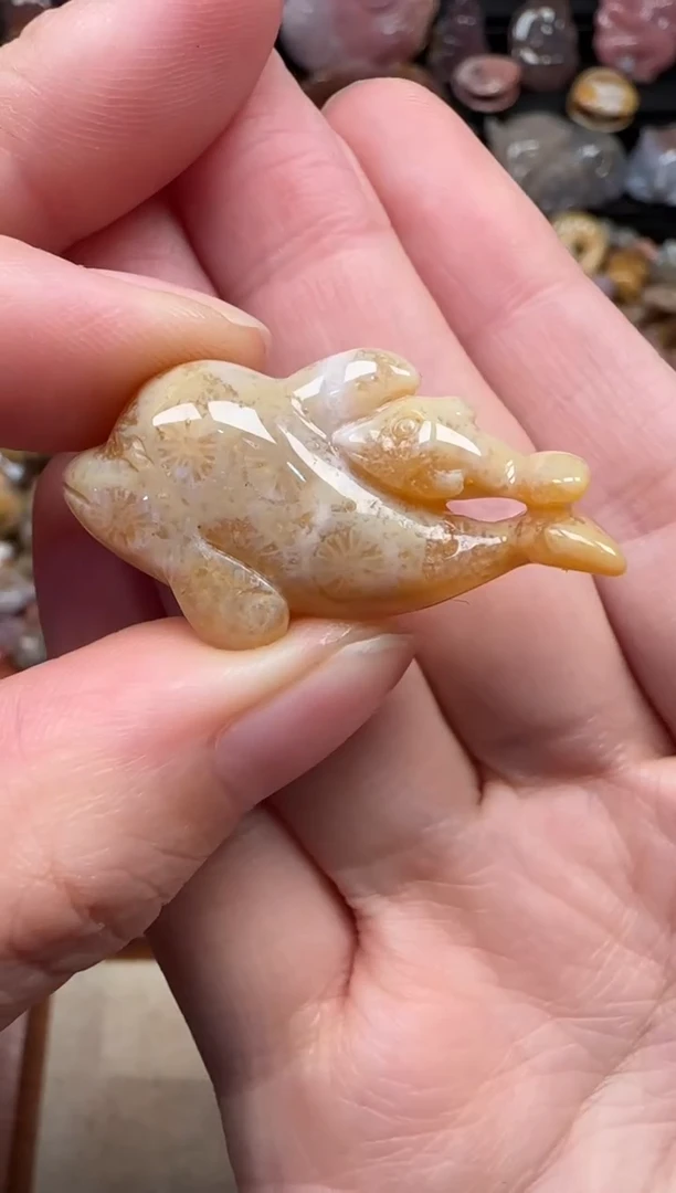 颈饰未镶嵌硅化珊瑚（珊瑚玉）263