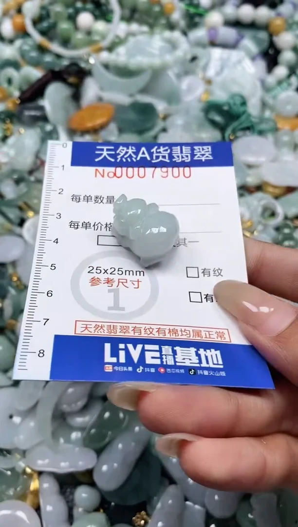 翡翠未镶嵌颈饰闪购0007900