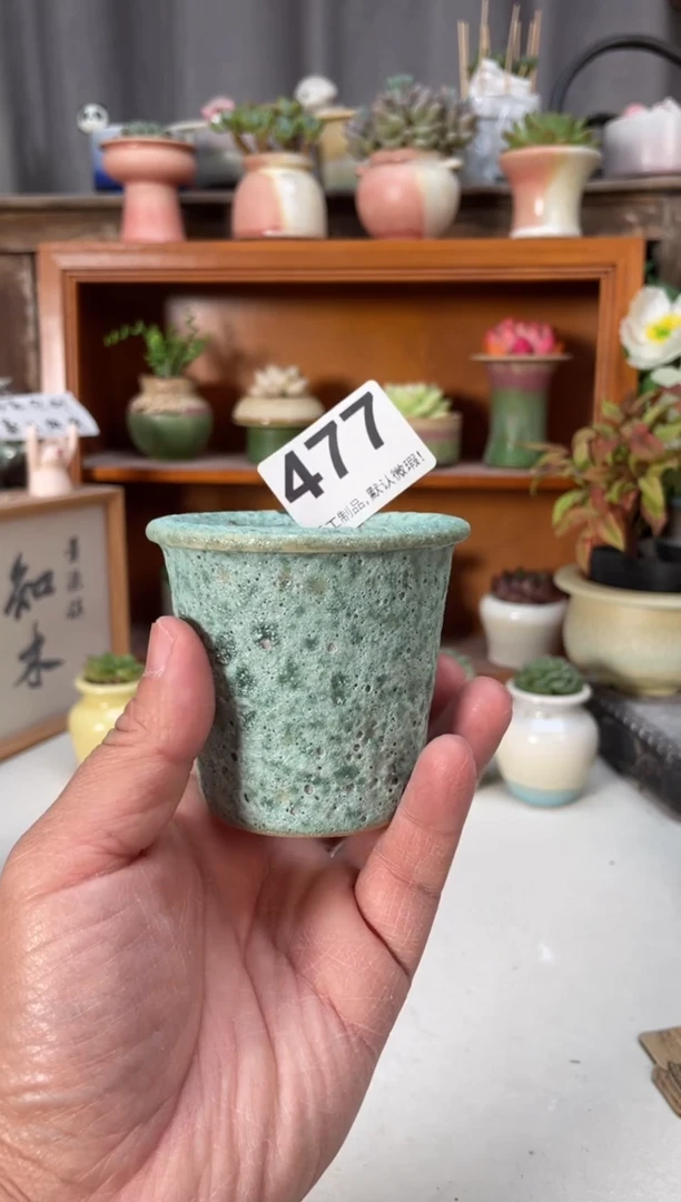 瓷片477小芳直播编号