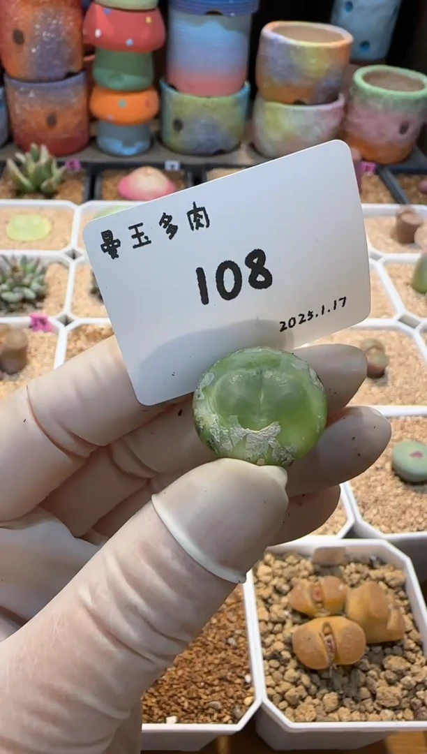 【闪购商品】25.1.17-108