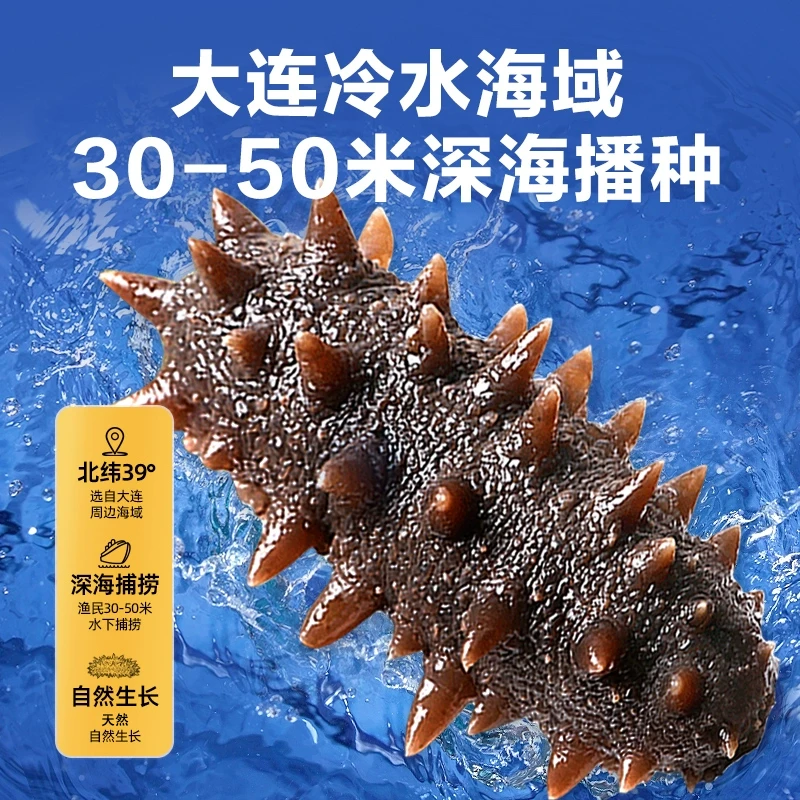 国标特级纯干滋补大连辽刺参海参20只*2盒