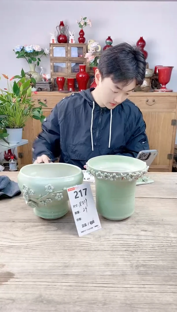 晴好园艺直播编号217