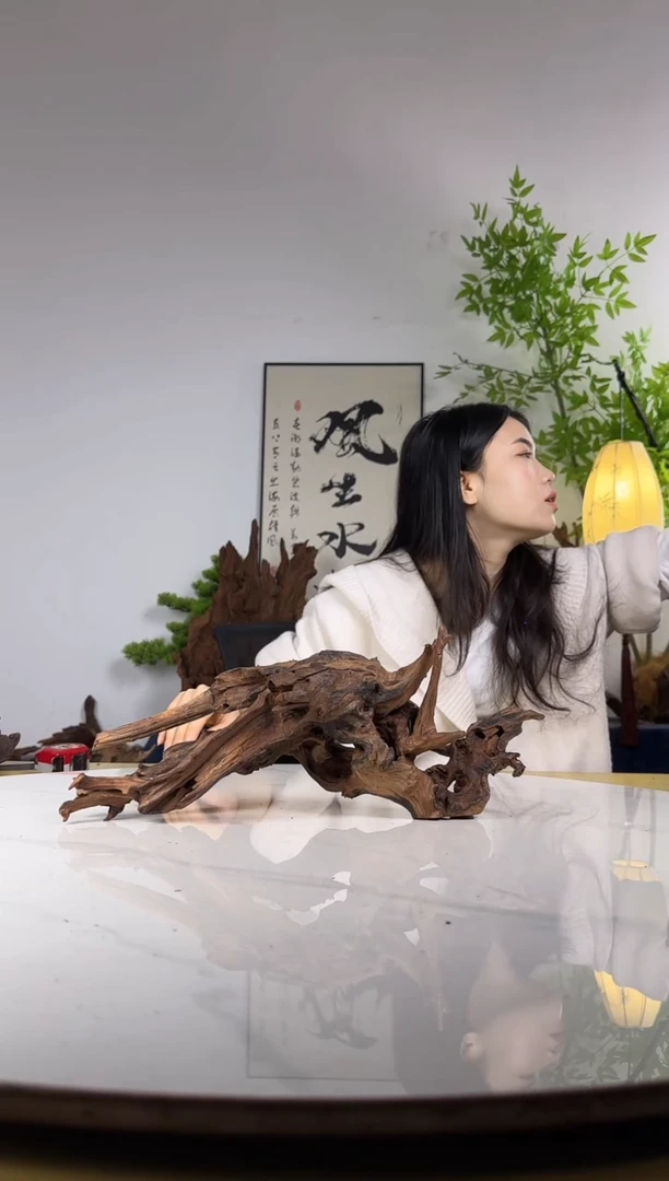 −****.拍沉木定向链接编号30