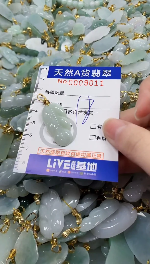 颈饰未镶嵌翡翠纯天然a货翡翠