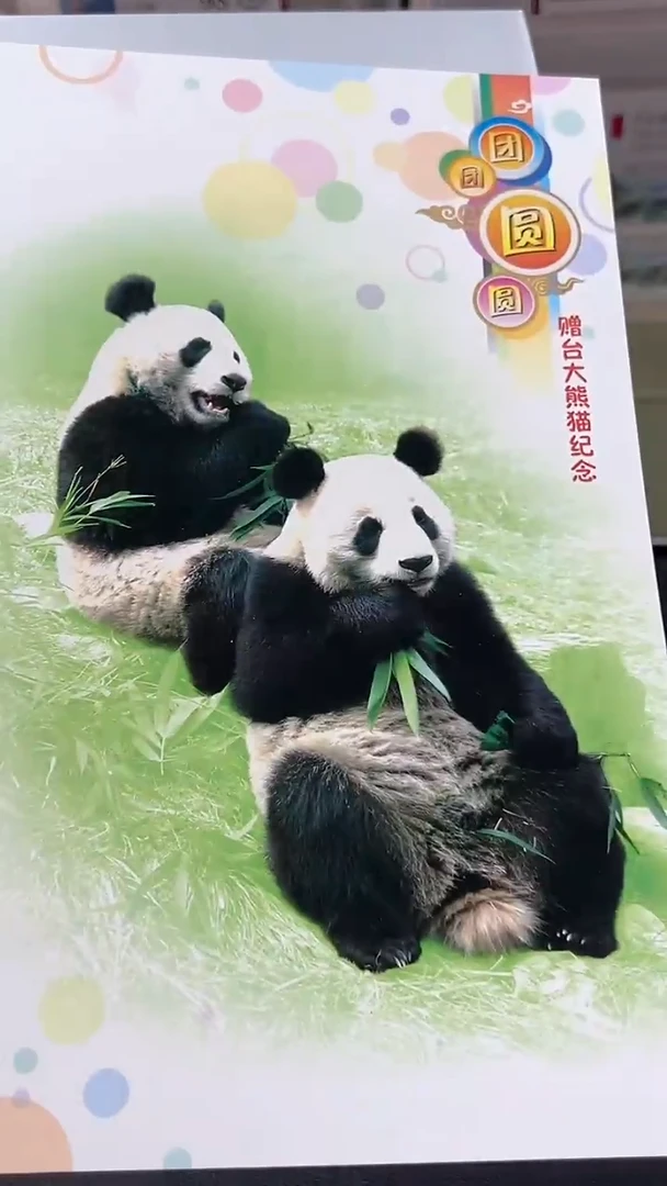 团团圆圆经典合集合集