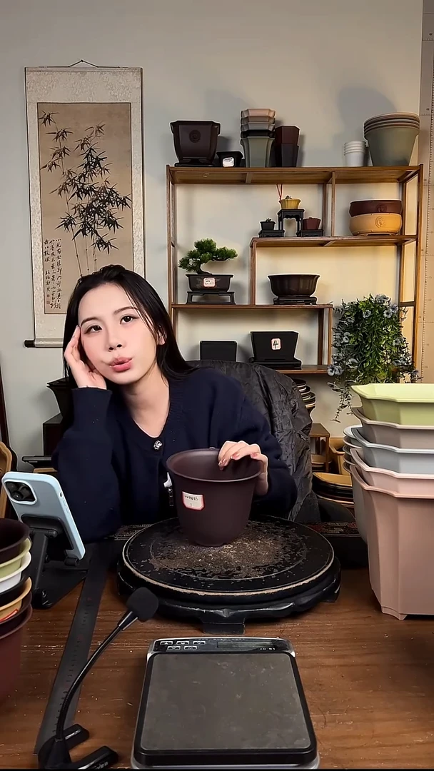 10只15口径金钟紫檀色