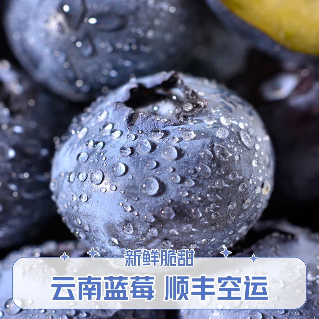 云南蓝莓新鲜脆甜树熟蓝莓顺丰包邮现货发货水果中国大陆